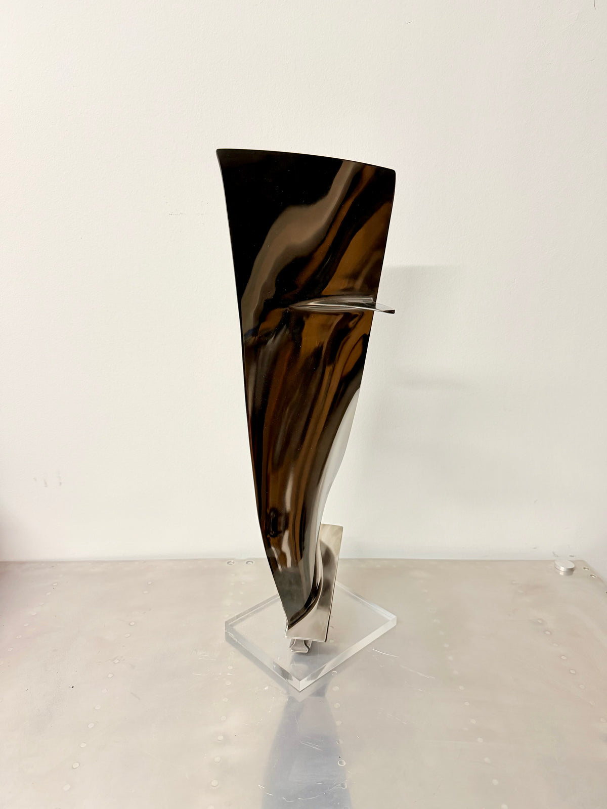 A320 Cfm-56 Fan blade mirror polished